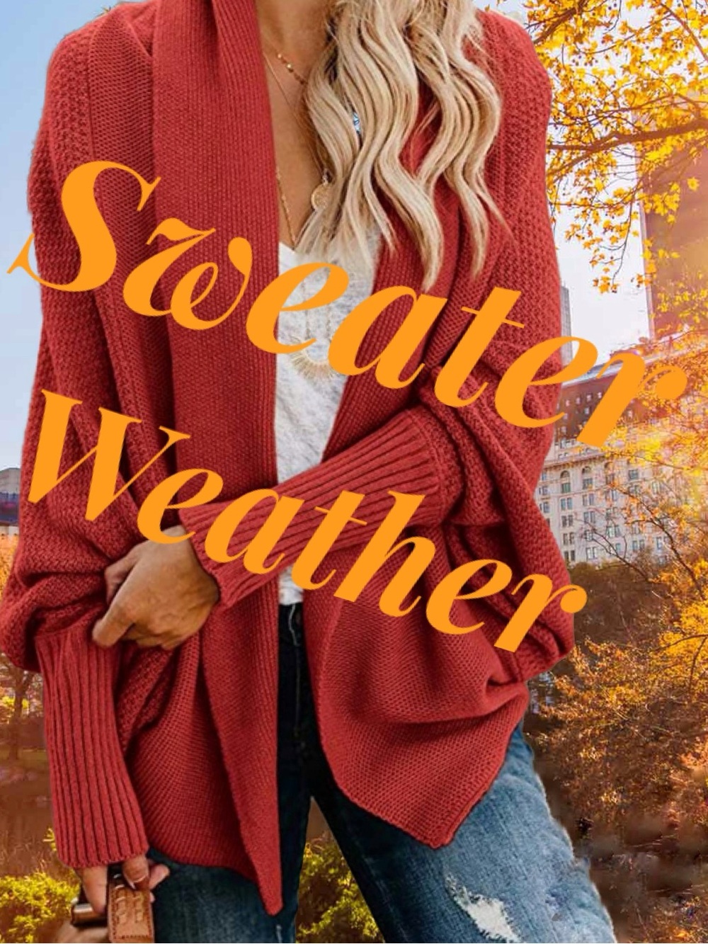 Sweater Weather! - Picture 1 of 4